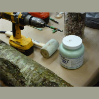 Peoples Medicine Show