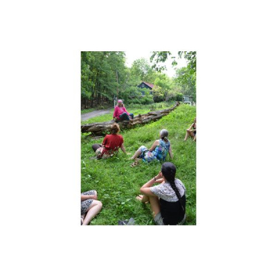 Ask Herbal Health Expert Susun Weed