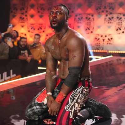 Wrestling Inc. Audio