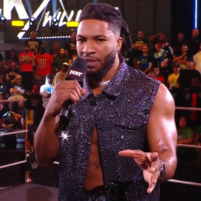Wrestling Inc. Audio