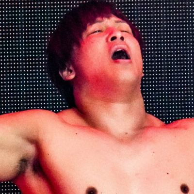 Wrestling Inc. Audio