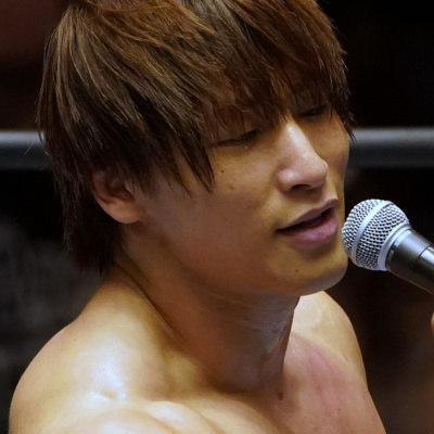 Wrestling Inc. Audio