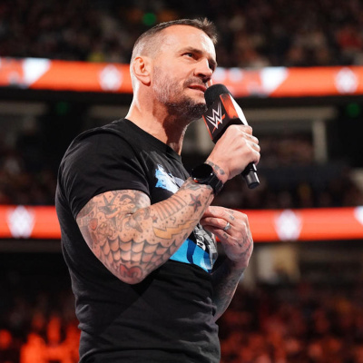 Wrestling Inc. Audio