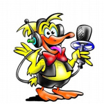 Inside The Press Box