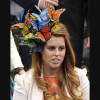 CACP - #82 - The Mad Hatter