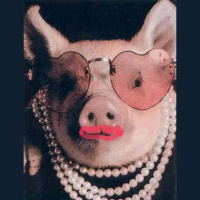 CACP - #110 - Some Terrific, Radiant, Pig