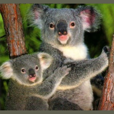 Cocktails And Cream Puffs : Gay / Lgbt Comedy Show