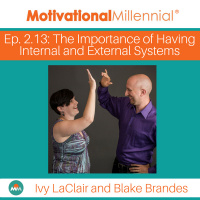 2.13: The Importance of Having Internal and External Systems