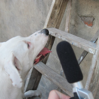 Hand Of Pod ep 4 - 07-12-2010