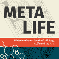 Parallels and Contrasts Between Artificial Life and Computer Art