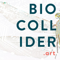 Transcendence and Transgression between Science and Art with Dalila Honorato