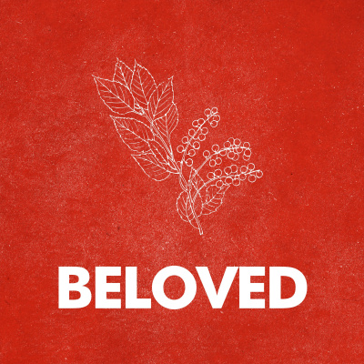 New Books In African American Studies