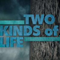Two Kinds of Life