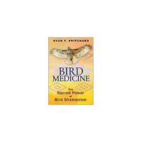 Bird Medicine: The Sacred Power of Bird Shamanism