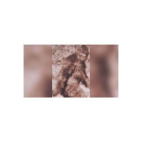 A Bigfoot Portal! Guest Steve Bachmann talks technology and portals