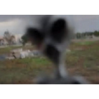 The Stardust Alien Ranch with John Edmonds and Bruce Macdonald