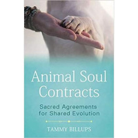 Animal Soul Contracts~ Agreements Between Animals  Their Humans