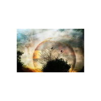 Shamanic Awakening