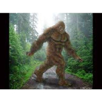 Bigfoot  other Cryptids with Researcher/Author Scott Carpenter