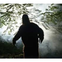 Chasing American Monsters: Creatures, Cryptids  Hairy Beasts