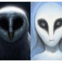 The Messengers: Owls  UFOs with Guest/Expert Mike Clelland