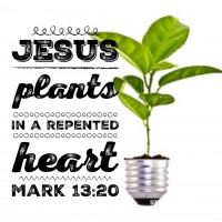 Ep. 126 Transforming Power of the Word: Mark 4:13-20