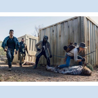 The Walking Dead Online Viewing Party S10E17 Home Sweet Home