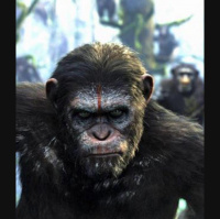 Planet der Affen: Revolution