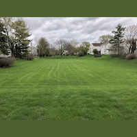An Introvert Reacts to Shelter-In-Place Orders During the COVID-19 Pandemic