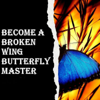 Broken Wing Butterfly Master Free Webinar