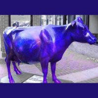 Purple Cow - Audio