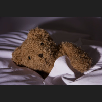 Bear Gut Microbes Help Prep Hibernation