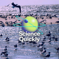 How Bird Flu Went from an Isolated Avian Illness to a Human Pandemic Threat (Part 1)