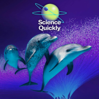 Could We Speak to Dolphins? A Promising LLM Makes That a Possibility