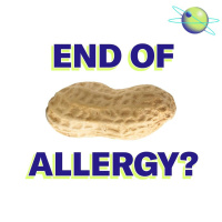 Could Peanut Allergies Be Cured?