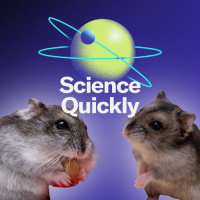 These Adorable Hamster Dads Take Fatherhood Seriously