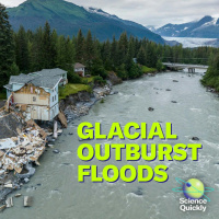 Chikungunya Outbreak, Glacial Outbursts and a New Human Ancestor