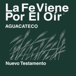 Aguacateco Biblia (no dramatizada) - Aguacateco Bible (Non-Dramatized)