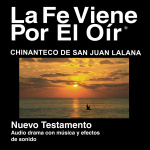 Chinanteco De San Juan Lalana Biblia - Chinanteco De San Juan Lalana Bible