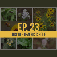 10x10 - Traffic Circle