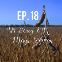 Dr. Percy  the Magic Soybean