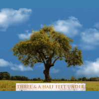 Bonus Episode: 3 1/2 Feet Under