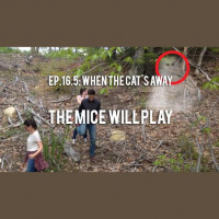 When the Cats Away, The Mice Will Play