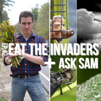 Eat the Invaders  Ask Sam