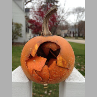 Smashing Pumpkins-The Gourd That Changed A Town