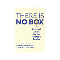 Dr Simon Cleveland -There Is No Box: A Practical Guide for the Relatable Leader