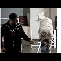 Zoom Room franchise opportunity meets with Franchise Interviews