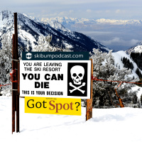 Podcast #245 – Spot