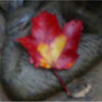 Whats Love Got to Do with It?