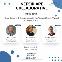 NCPEID Collaborative April 2024: Concerns  Considerations for the Field of APE